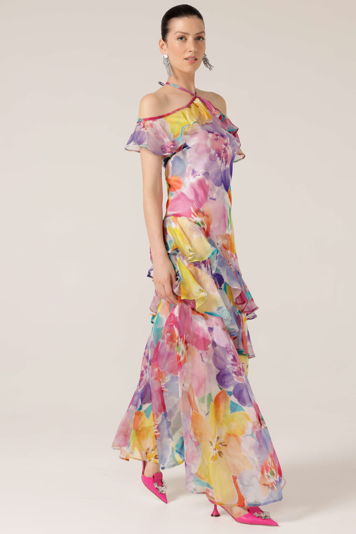 Paradise Tanager Dress