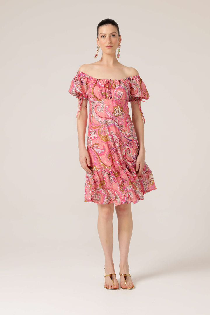 Rosy Finch Dress