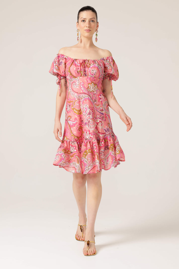 Rosy Finch Dress